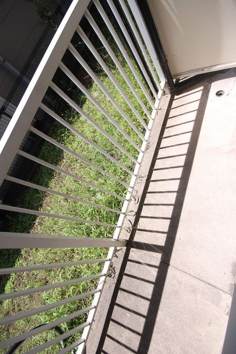 エレファントマンション8号館のその他画像