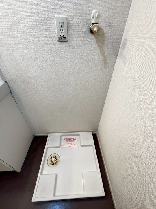 ポンポン・アジュールのその他画像