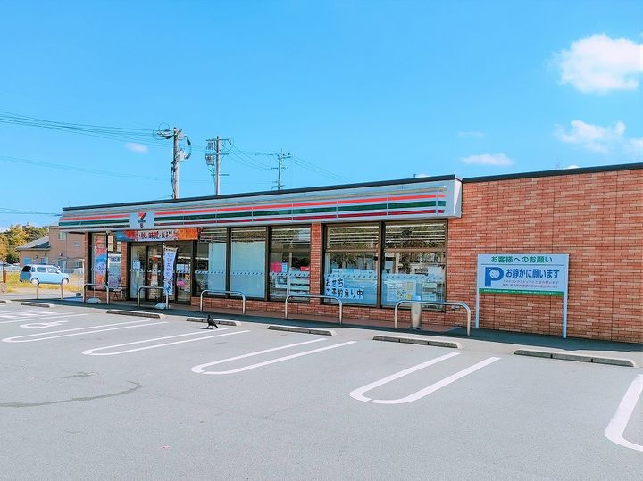 レオネクスト都原107の周辺