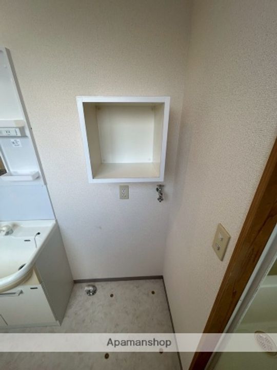 パーシモンのその他画像