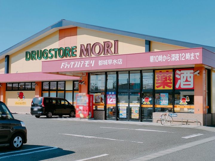 レオネクストリヴァーノームの周辺