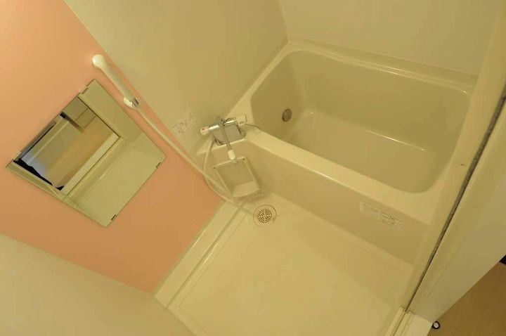 レオネクスト都原102の風呂