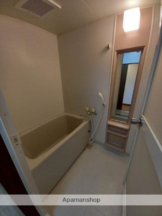 アルカディア祇園101の風呂