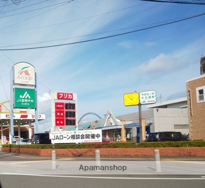 サンフラワー東町の周辺