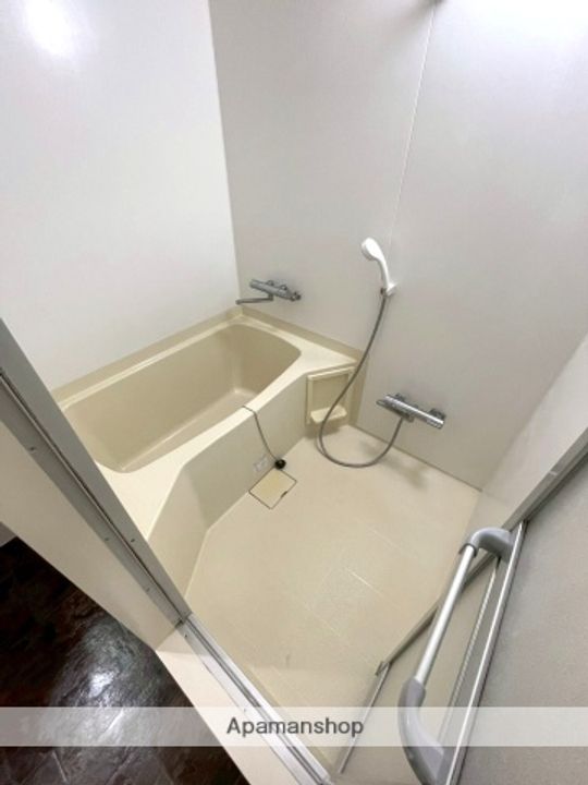 宮崎県宮崎市橘通東5丁目の賃貸マンション701の風呂
