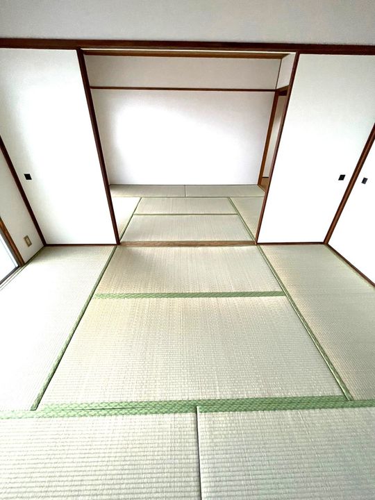 宮崎県宮崎市吉村町の賃貸マンション302の内装