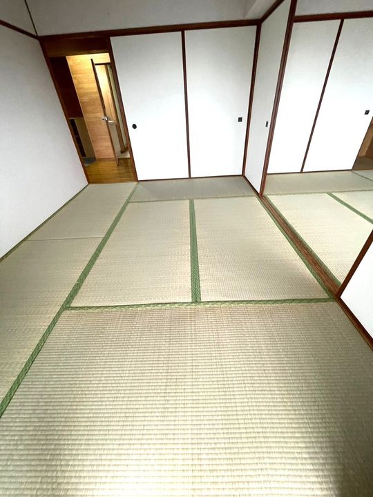 宮崎県宮崎市吉村町の賃貸マンション302の内装