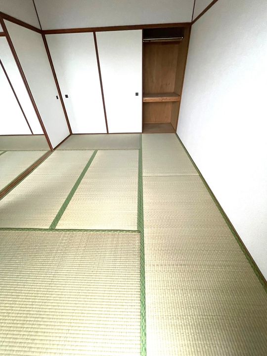 宮崎県宮崎市吉村町の賃貸マンション302の内装
