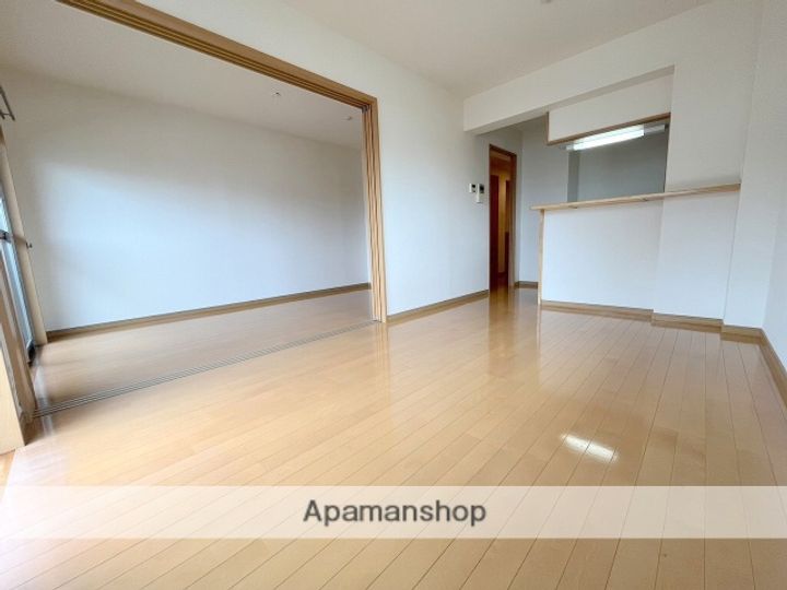宮崎県日南市岩崎1丁目の賃貸マンションの居間