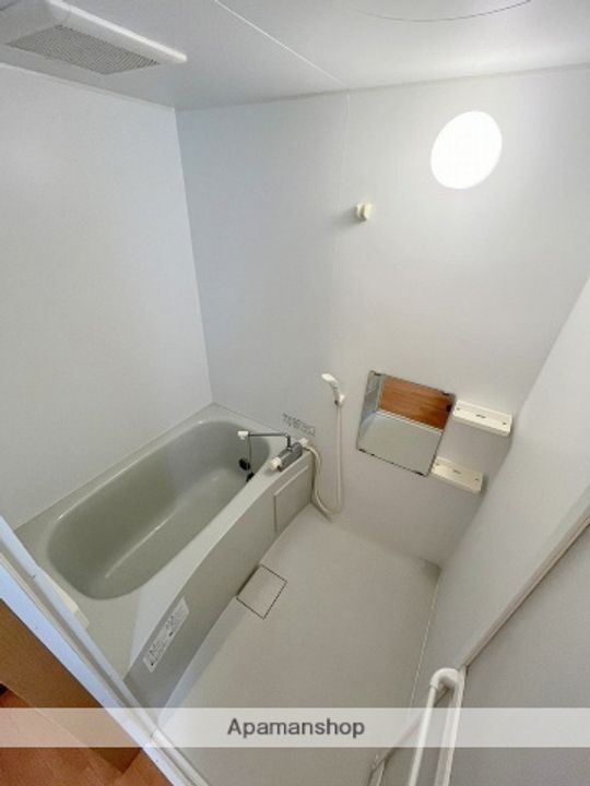 宮崎県日南市岩崎1丁目の賃貸マンションの風呂