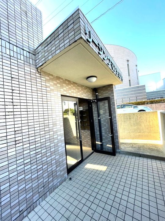 リージングマンション B203の外観