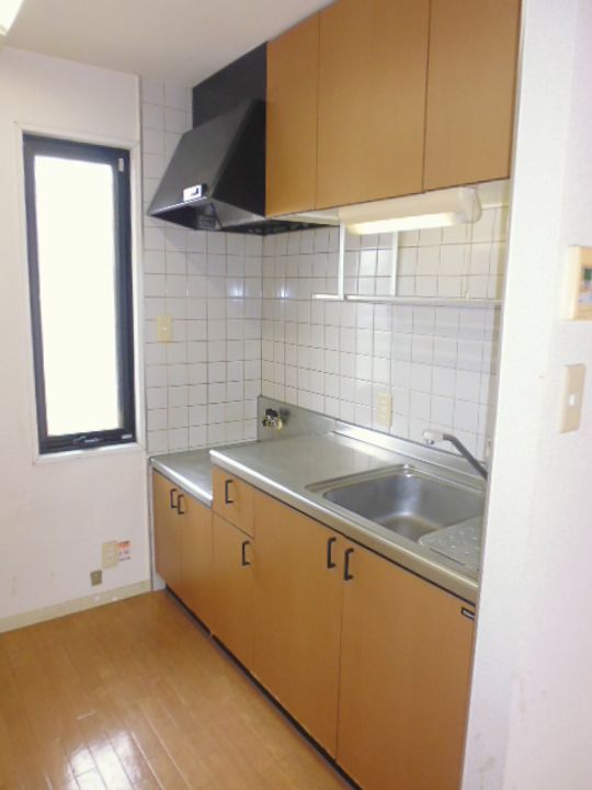 サンパテック2-101のキッチン