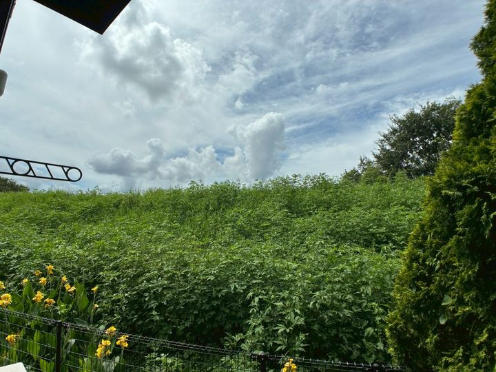 レオパレスMOONⅡ101のその他画像