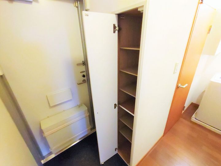 レオパレスソレーユ110の玄関