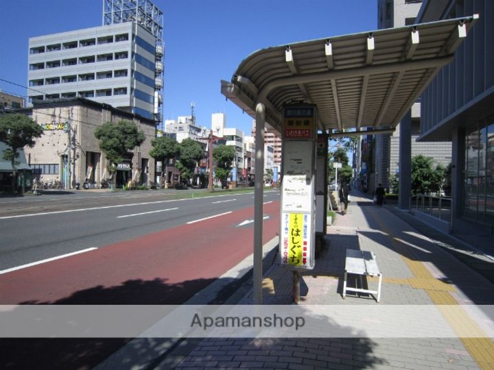 マリーロードの周辺