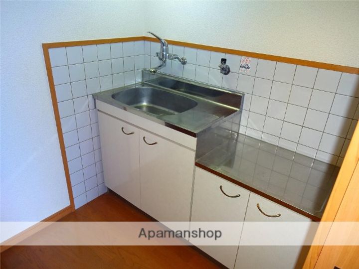 グリーンロード参番館203のキッチン