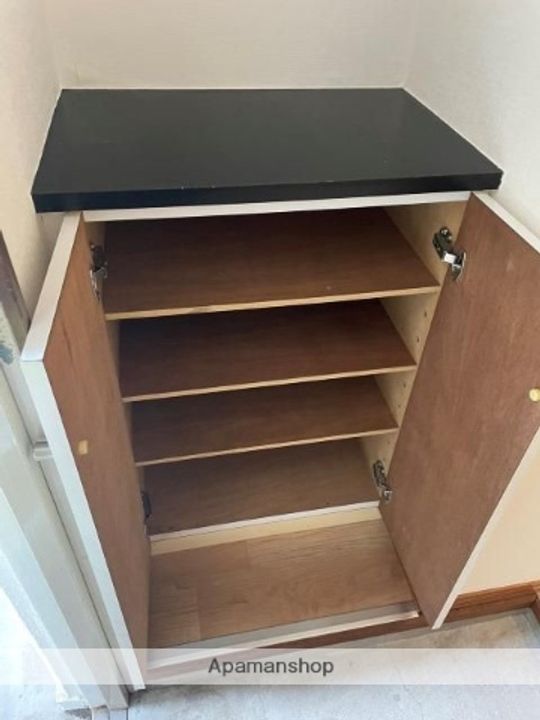 鹿児島県鹿児島市東郡元町の賃貸マンションの玄関