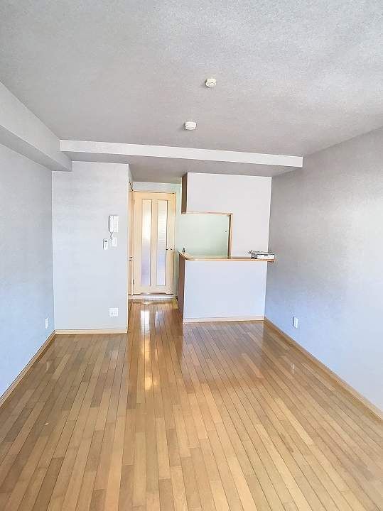 ドミール雅0505の居間