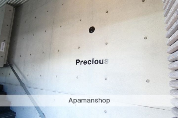 PRECIOUSのその他画像