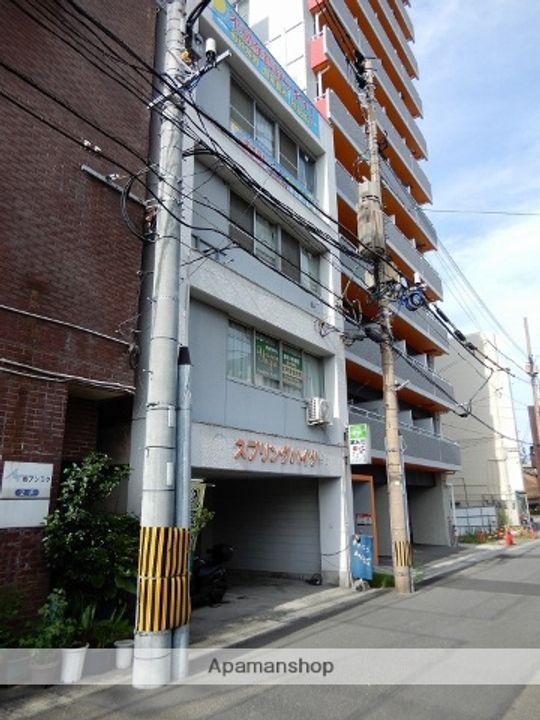 スプリングハイツ中洲の外観