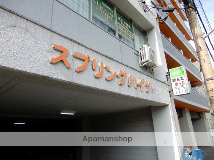 スプリングハイツ中洲の外観