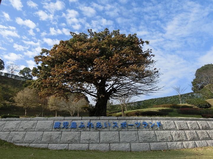 コンフォートホープ田川の周辺