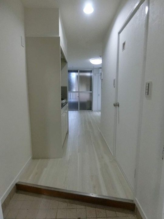 水田ビル0203の玄関