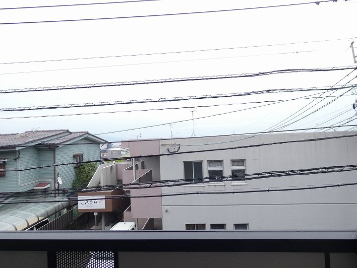 オリエントモナリエのその他画像