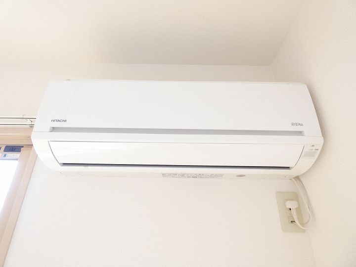 オリエントモナリエのその他画像