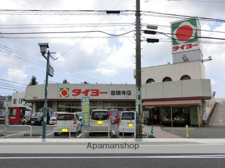 ジャルダン・フリューリー・ドーソンⅣ305の周辺