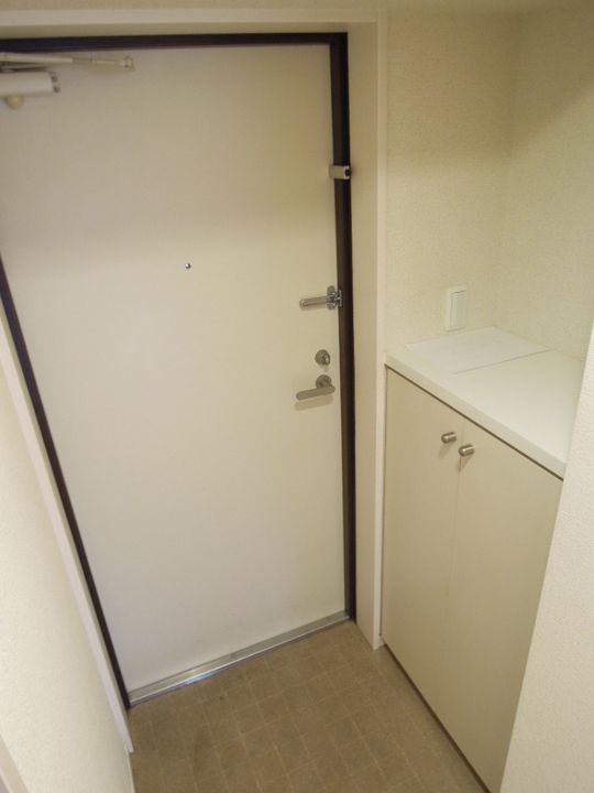 サンレガーロ南林寺0203の玄関