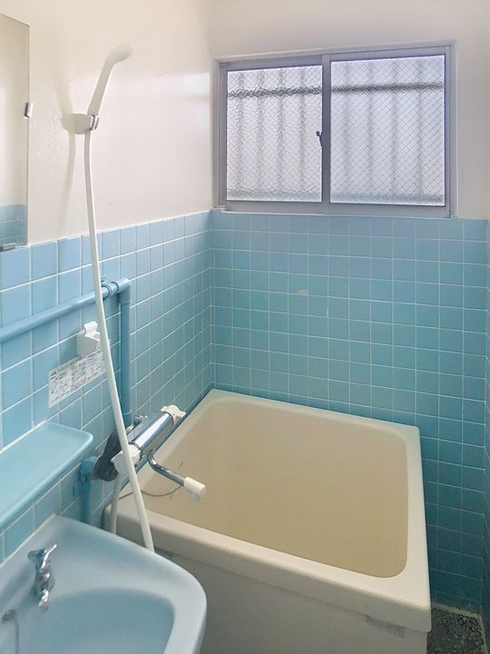 柳元ビル0303の風呂