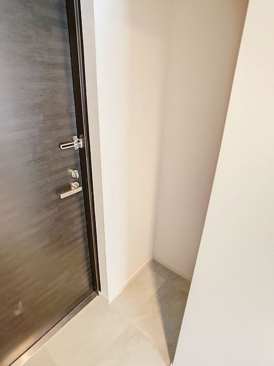 SーRESIDENCE 小川町1406の内装