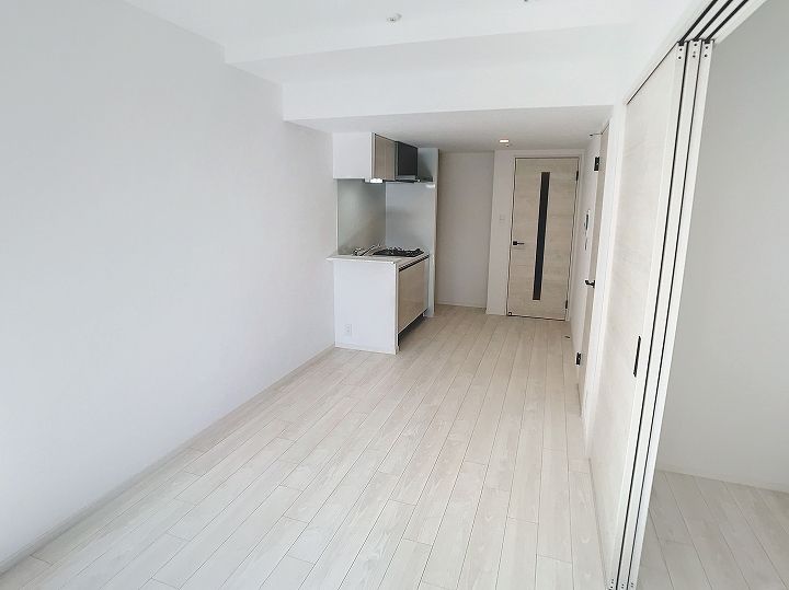 SーRESIDENCE 小川町1406の内装