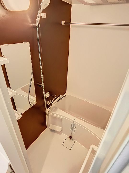 SーRESIDENCE 小川町1406の風呂