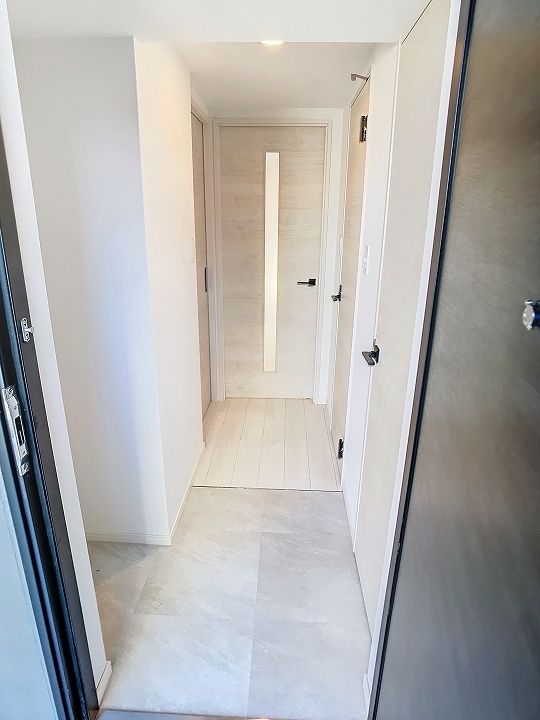 SーRESIDENCE 小川町1406の玄関