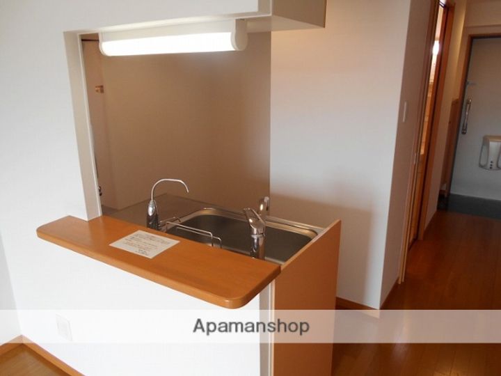 鹿児島県鹿児島市鴨池1丁目の賃貸マンションの内装