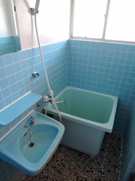 柳元ビル0201の風呂