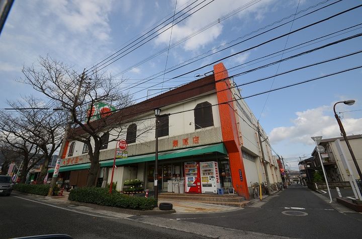 プリモール紫原503の周辺