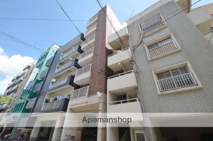 鹿児島県鹿児島市松原町の賃貸マンションの外観