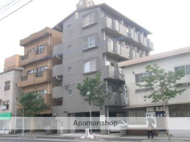 スカイフラワー3の外観