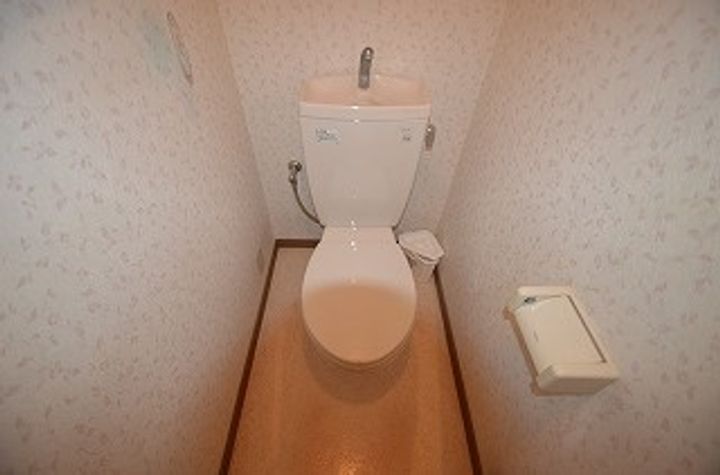 ドミール・ジュネス202のその他画像