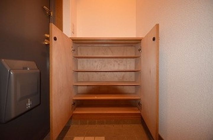 ドミール・ジュネス202の玄関