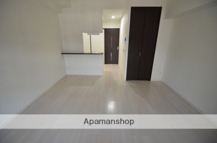 鹿児島県鹿児島市西千石町の賃貸マンションの内装