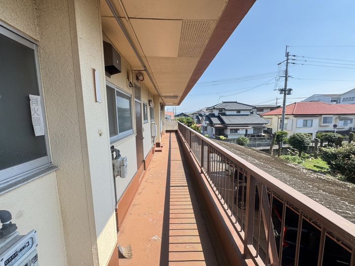 ブラウンKのその他画像