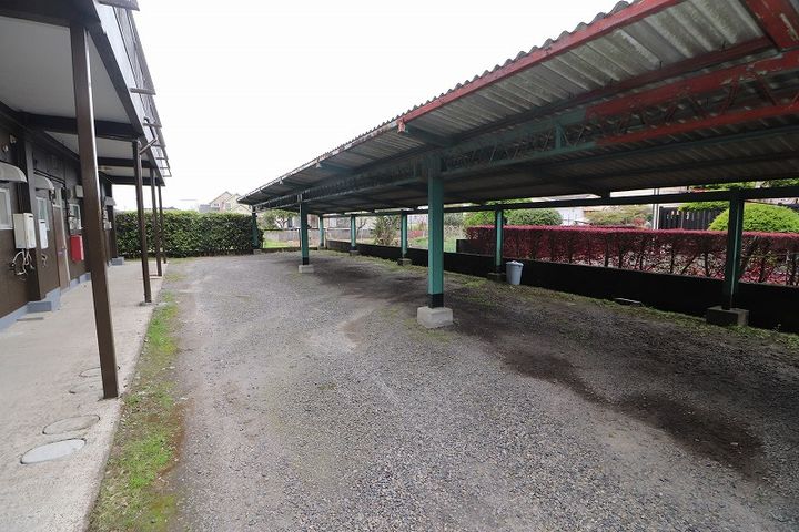 クローバーのその他画像