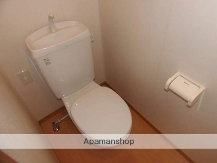 ウェルヴィラ風のその他画像