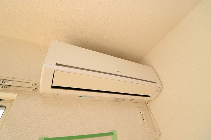 エルミタージュ・トミのその他画像