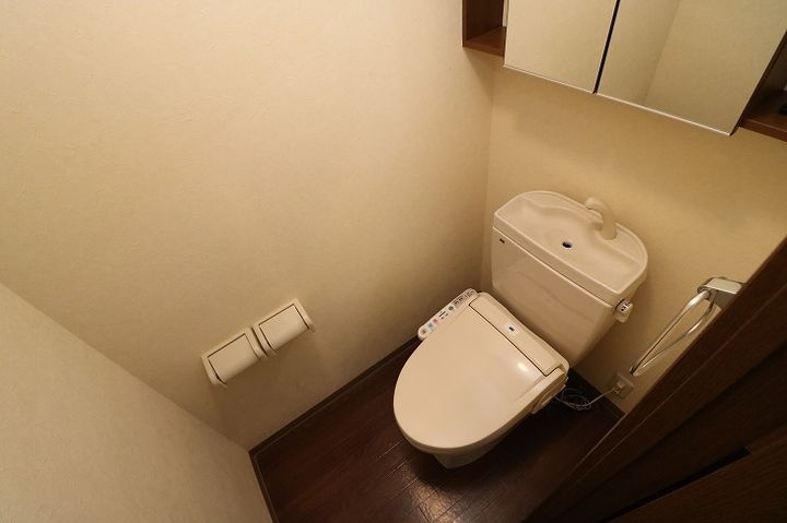マロニエのその他画像