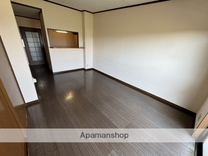鹿児島県霧島市隼人町見次の賃貸マンションの内装